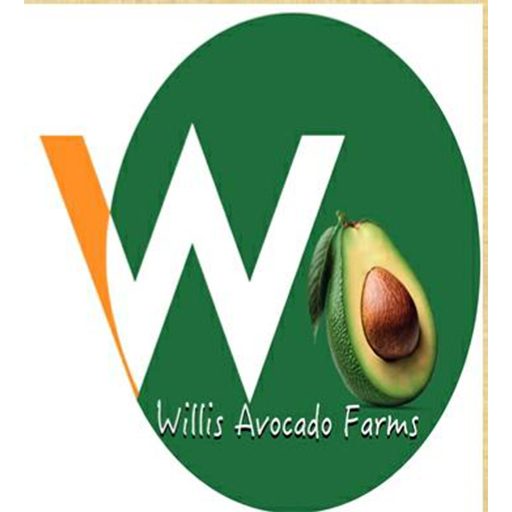 Willis Avocado Farms